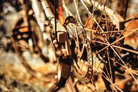 fiets