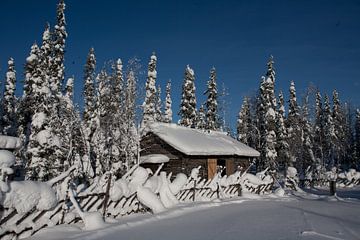 Lappland von Arthur van Iterson