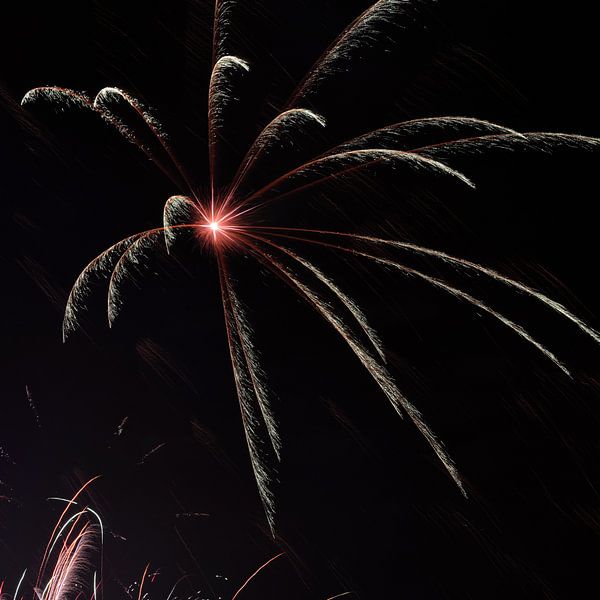 Fireworks by Alphapics