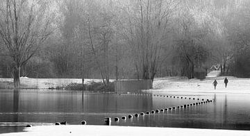 IJskoud gespiegeld by Willem Melssen