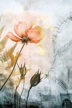 Rêves de pétales d'ambre sur Zen et Plus