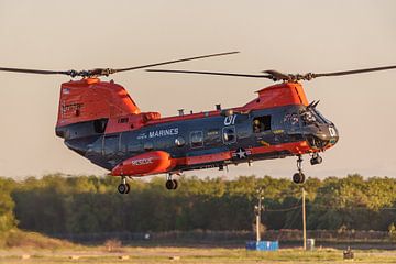 Landung einer Boeing Vertol CH-46E Sea Knight. von Jaap van den Berg