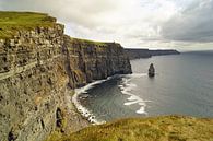 Cliffs of Moher - Irland von Babetts Bildergalerie Miniaturansicht