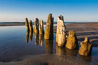 Groynes on shore of the Baltic Sea van Rico Ködder thumbnail