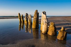 Buhnen an der Küste der Ostsee