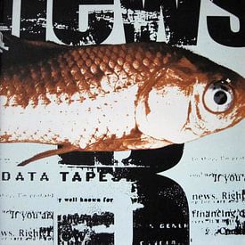 Fish on newsprint, goldfish by Muurbabbels Typographic Design