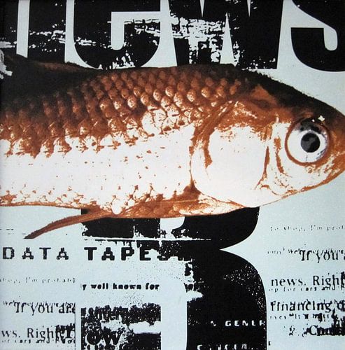 Fish on newsprint, goldfish