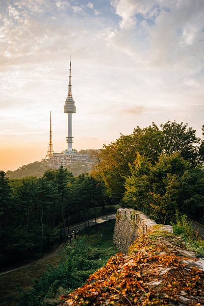 Seoul by Hello Pompoyo