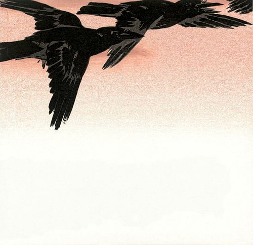 Japanse Vogelvlucht