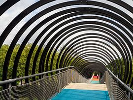 Slinky Spring to Fame by Jan Enthoven Fotografie