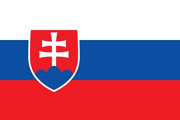 Vlag van Slowakije van de-nue-pic