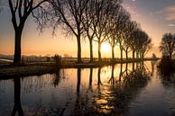 in the morning by Anneke Reiss thumbnail