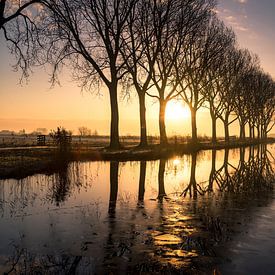 frühmorgens von Anneke Reiss