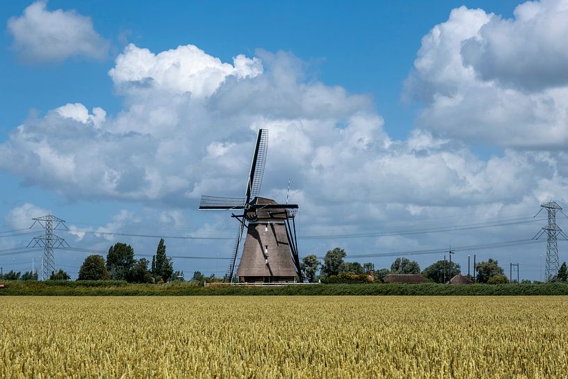 Landscape with beautiful traditional Dutch windmill with blue sky and clouds. by Tjeerd Kruse