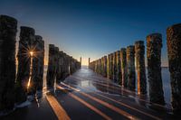 Seawall put in the spotlight