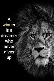 Lion avec texte en anglais