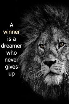 Leeuw met engelse tekst