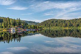 Schluchsee im Hochschwarzwald -  Morgendliche Ruhe am Wasser von Conny Pokorny