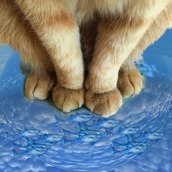 Katze schleicht Fisch in Schüssel von Artmotifs Eve