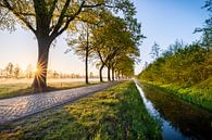 Sunrise over a country road by Yorben  de Lange thumbnail
