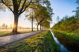 Zonsopkomst boven een landweggetje