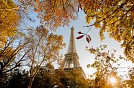 Fall in Paris van Gerhard Nel thumbnail