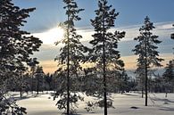 Snow landscape by M M thumbnail