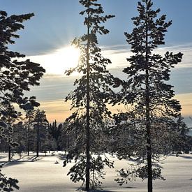 Paysage de neige sur M M