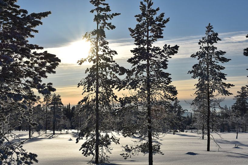 Snow landscape by M M