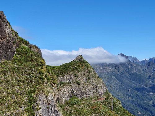 Madeira #4