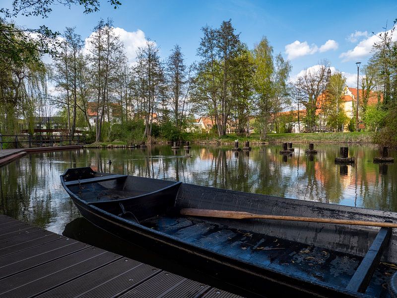 Boot im Naturschutzgebiet Spreewald von Animaflora PicsStock
