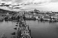 Karlsbrücke Prag von Marian Sintemaartensdijk Miniaturansicht