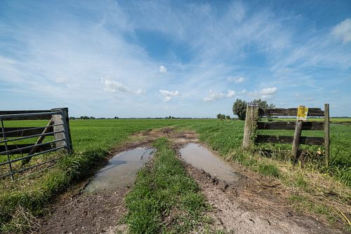 Toegang weiland polder Alblasserwaard