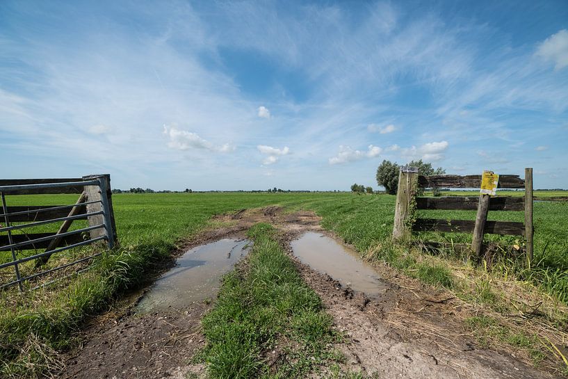 Access meadow by Beeldbank Alblasserwaard