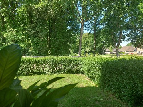 Lampe's Veentje Norg