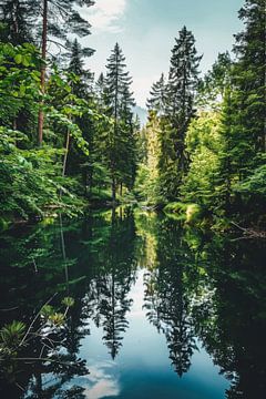 Reflecties in het groene bos van Poster Art Shop