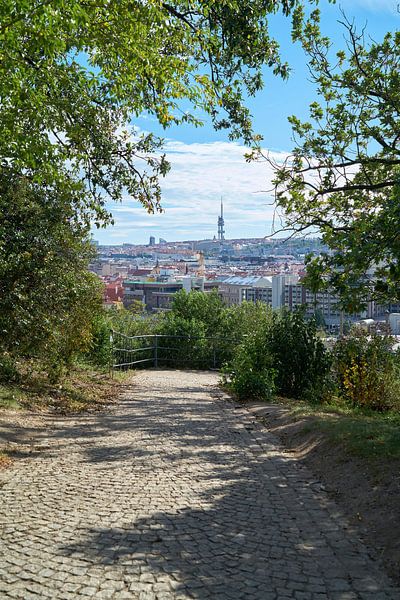 View of Prague from Letna Park by Heiko Kueverling
