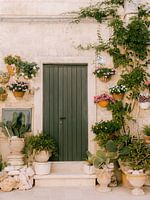 Groene deur met bloemen en planten | reisfotografie