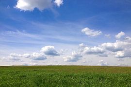 Horizontlinie zwischen Weideland und Firmament.JPG von Theodor Decker
