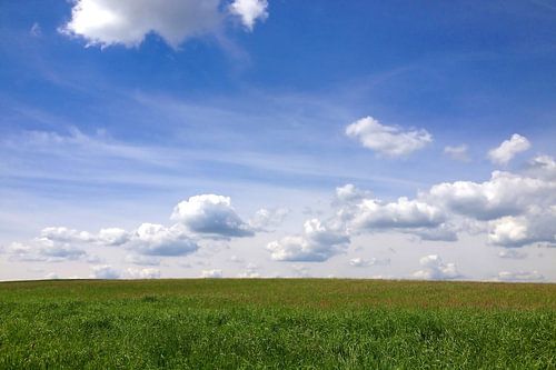 Ligne d'horizon entre les pâturages et le ciel.JPG