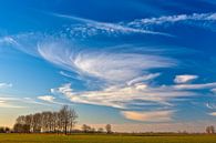 Hollandse luchten tussen Garnwerd en Winsum, Groningen, Nederland van Henk Meijer Photography thumbnail