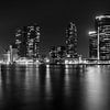 Rotterdam panorama van Albert Mendelewski