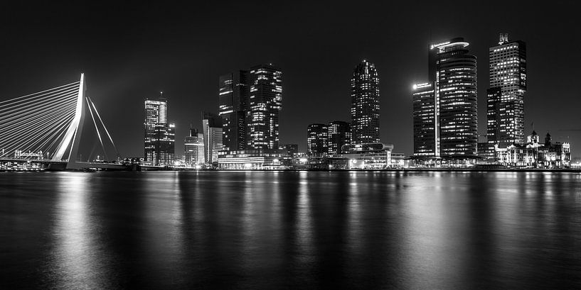 Rotterdam panorama by Albert Mendelewski