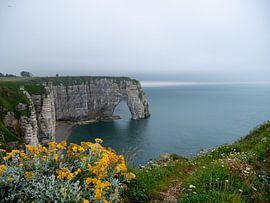 Etretat chalk cliffs by Michel Meijer
