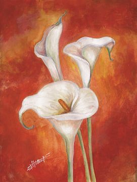 3 calla lilies von Bojan Eftimov