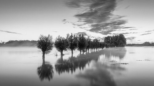 Natuur en waterbergingsgebied Noordma in Zuidlaren in de provincie Drenthe