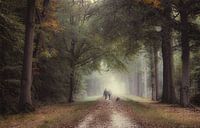 Walking with the dog van Jos Erkamp thumbnail