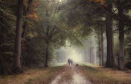 Walking with the dog by Jos Erkamp