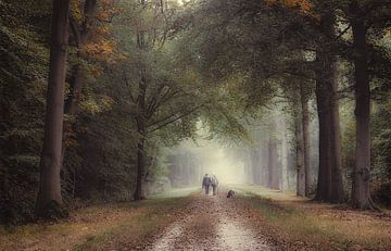 Walking with the dog von Jos Erkamp