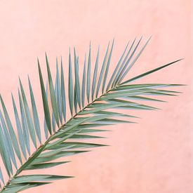Pastel en Palmblad | Marokko van Marika Huisman fotografie